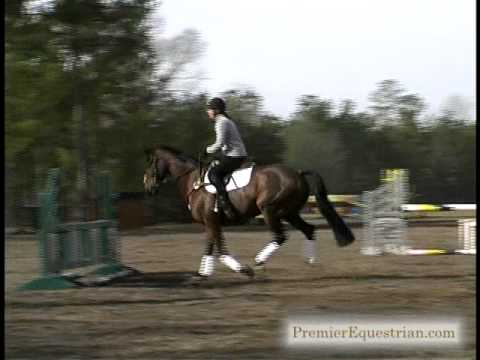 Phillip Dutton Pro Tips - Horse Jumping Tips - Horse Jumps