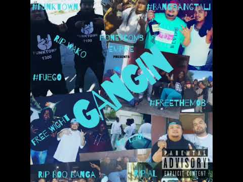 Goldi F. Brody - Gangin