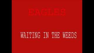 Eagles - Waiting in the weeds