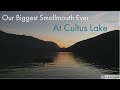 Video Thumbnail for Our Biggest Smallmouth Ever at Cultus Lake