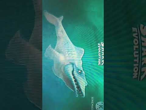 Toons Inc Part 2: Morning Workout/Toonstropolis