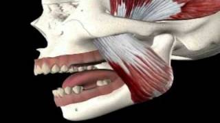 Pain in the Jaw:  Symptoms & Treatment
