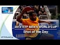 2014 Men's World Cup - Shot of Day 2