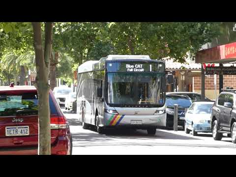 Transperth Volvo B8RLE (Volgren Optimus) TP2672 at James Street,Northbridge