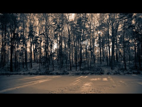 Lockdown Slowdown (Downtempo DJ set)