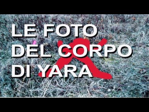 Trucco con lentiggini e occhi verdi I pigmentary notano la chiarificazione di un organismo