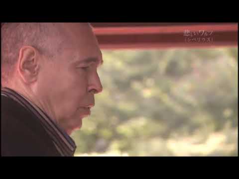 Ivo Pogorelich ..Sibelius - Valse Triste ..