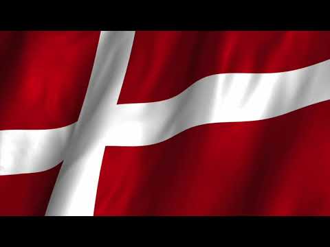 Dansk Melodi Grand Prix 2020: Jasmin Rose feat. RoxorLoops - Human [Male version]