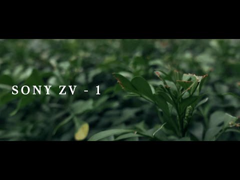 SONY ZV-1 | Anamorphic 4k Cinematic Video