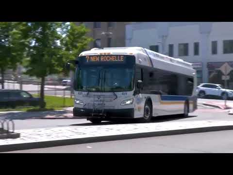 Bee Line Buses Tap And Go