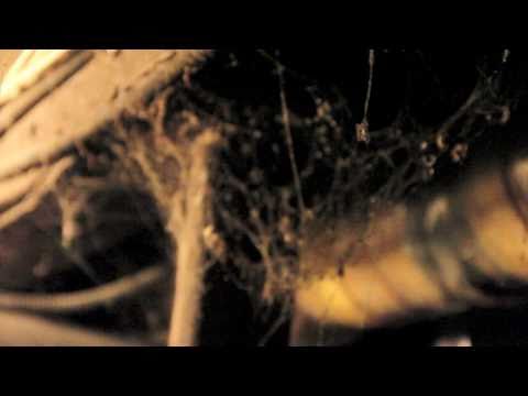 RAFITO Y YASHUA - MAKINA FULL (EN TU CASERIO DVD VOL1.)