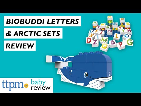 BioBuddi Letters and Arctic from Safari Ltd.