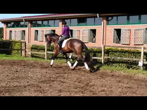 Millennium x De Niro *2012