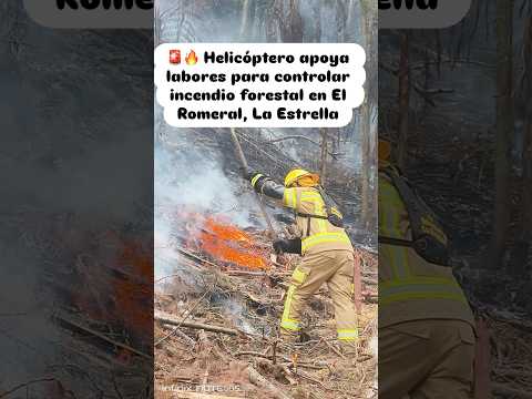 🔥 Continúan labores en el incendio forestal en La Estrella