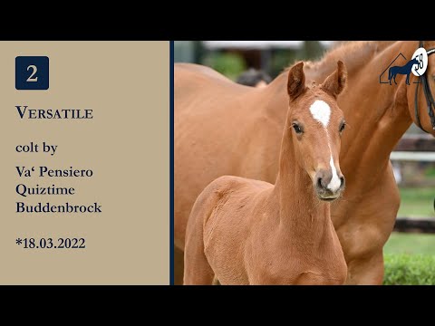 2 Versatile by Va'Pensiero x Quiztime