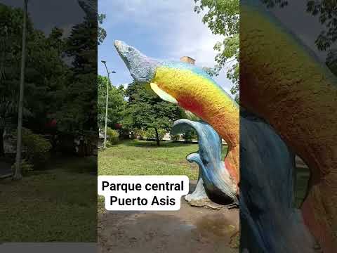 mi bello puerto asís 🙏 #colombia #putumayo