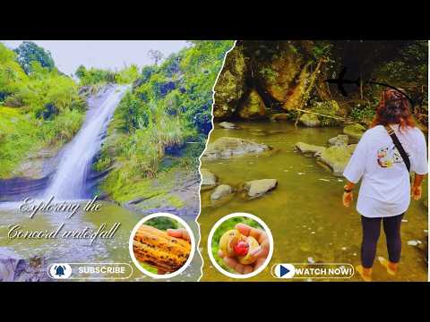 Concord Waterfalls  in #grenada: