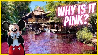 Why Did The Jungle Cruise Water Turn Pink? #shorts