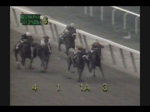 1994 Ruffian Handicap - Sky Beauty