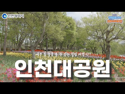 인천시 ㅣ 자연을 만끽할 수 있는 즐거움과 여유롭게 힐링할 수 있는 인천대공원