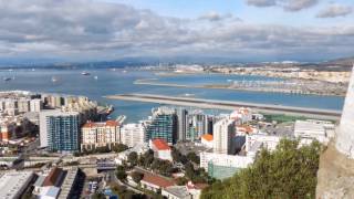 Affenstarkes Gibraltar