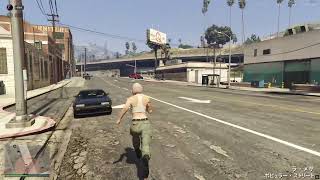 【GTA5】陰毛とGTA