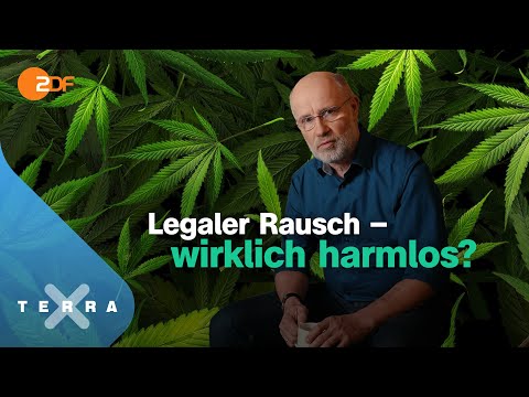Cannabis – zwischen Horror und Heilung – Leschs Kosmos [Ganze TV-Folge] | Harald Lesch