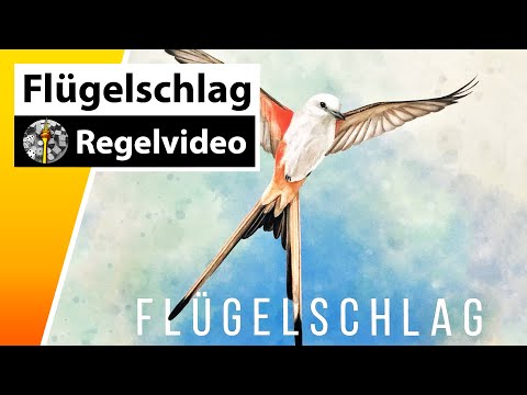 Flügelschlag - Regeln & Beispielrunde