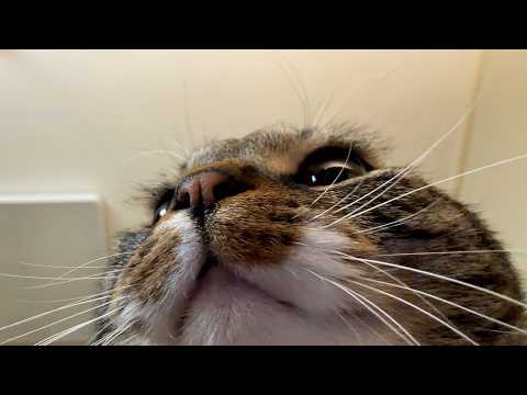 Image 9383