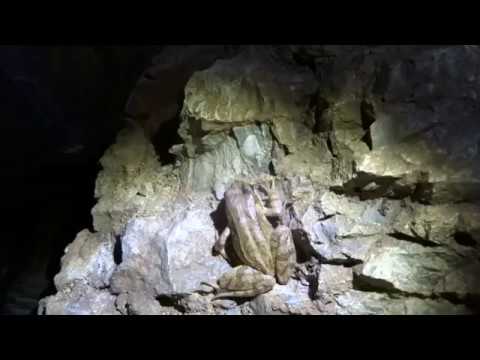 malá Jaskyňa Jahodník - URBEKSER No.2 - zasypalo ho ?