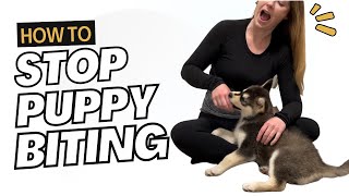 Struggling with Puppy Biting? How to Stop Puppy Biting Fast!