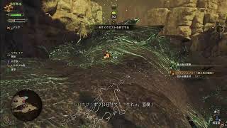 【 #MHWs 】モンハンワイルズのハンター稼業を開始する(上位入りたて)