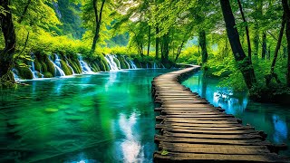 Soothing music heals the heart and calms the nervous system🍀 Music for the soul and relaxation #1