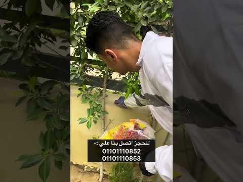 عزة مجاهد متابعة الزيارة الثانية