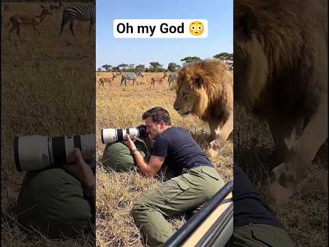 Oh my God wetin be this #anime #animals #shorts #trending