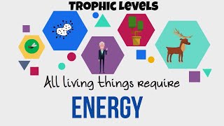 Trophic Levels-Energy Flow in Ecosystems