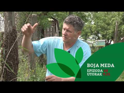 Boja meda ep. 68 25.06.2019. NAJAVA