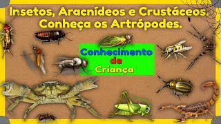 ????Insetos, ????aracnídeos e ????crustáceos, conheça os Artrópodes.