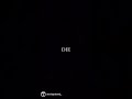 “i guess this is the night b*tches die 🤷‍♂️”
