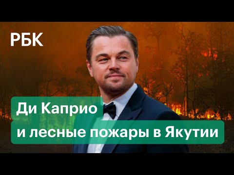 Глава Якутии объяснил отказ от помощи Ди Каприо с лесными пожарами Глава Якутии объяснил отказ от помощи Ди Каприо с лесными пожарами