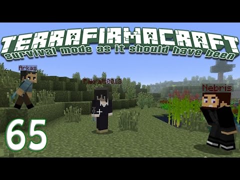 Terrafirmacraft Reloaded - E65 - Chicken Chicken (Minecraft)