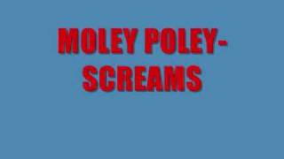 MOLEY POLEY