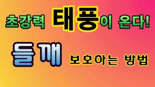 [텃밭농부.742]  태풍속에서 들깨를 보호하는 방법 #들깨재배