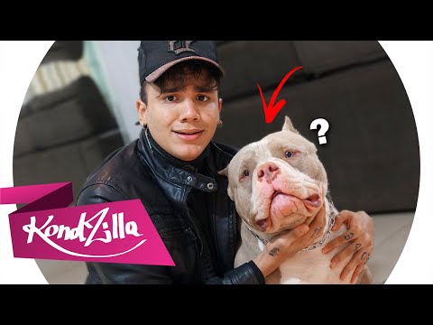 ♫ Sneeze the Spear - DJ Serpinha and MC 2Jhow (Parody)