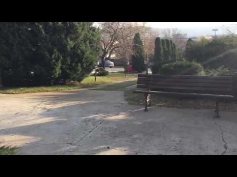 Pensiunea Margareta Iași