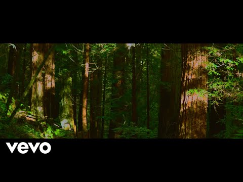 slenderbodies - dewdrops (Official Lyric Video)