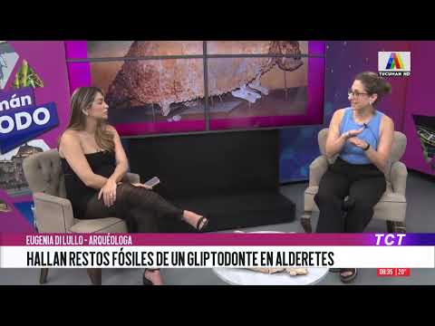 Hallan restos fósiles de un gliptodonte en Alderetes