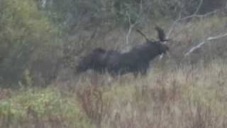 Conrad slow motion.mp4