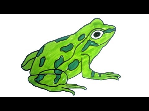 how to draw a frog | Easy Step by Step Drawing for kids | Children Drawing and Coloring