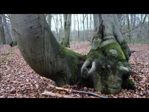 Rundwanderweg Leuther mühle